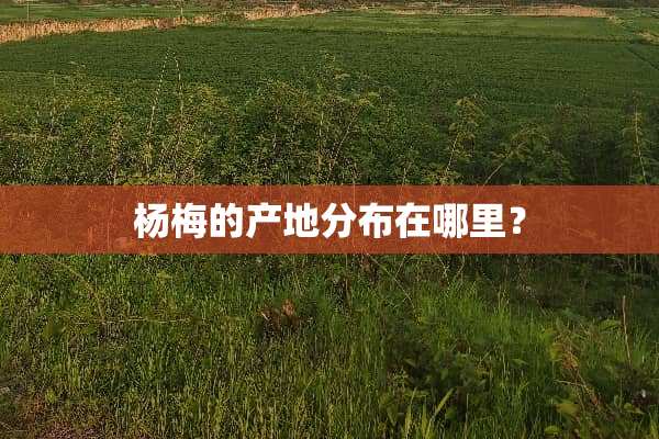 杨梅的产地分布在哪里？