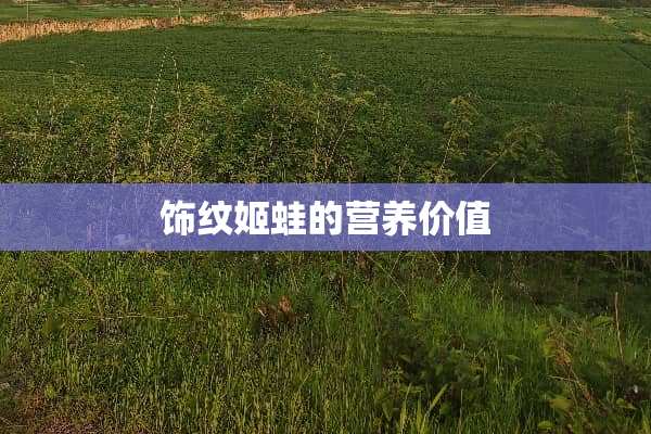 饰纹姬蛙的营养价值