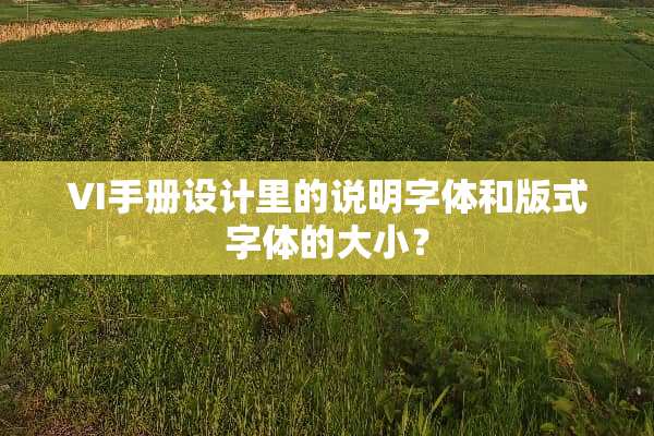 VI手册设计里的说明字体和版式字体的大小？