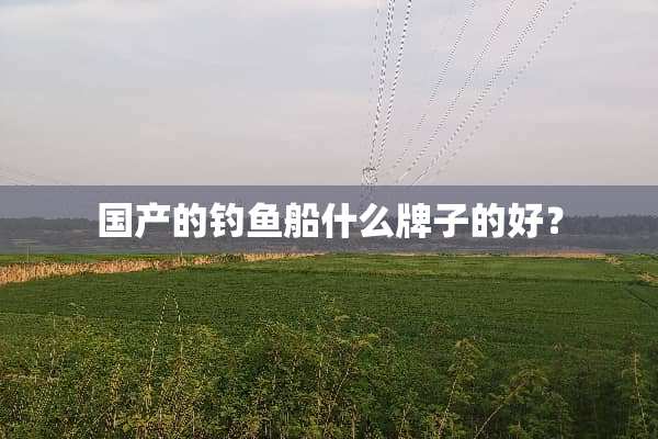 国产的钓鱼船什么牌子的好？