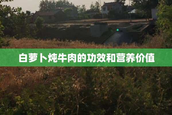 白萝卜炖牛肉的功效和营养价值