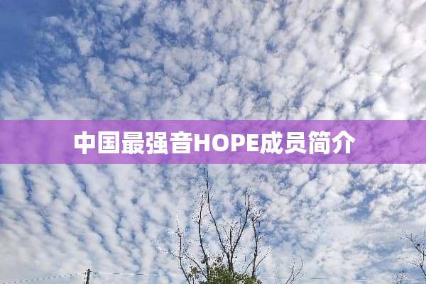 中国最强音HOPE成员简介