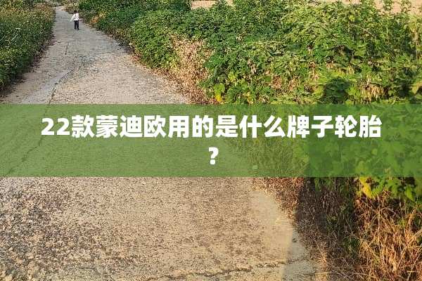 22款蒙迪欧用的是什么牌子轮胎？