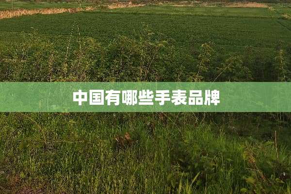 中国有哪些手表品牌