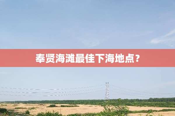 奉贤海滩最佳下海地点？