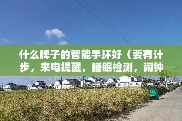 什么牌子的智能手环好（要有计步，来电提醒，睡眠检测，闹钟，时间显示。）