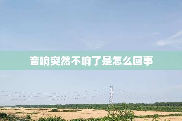 音响突然不响了是怎么回事