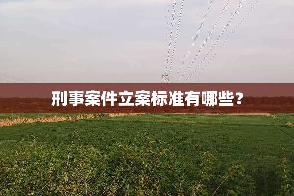 刑事案件立案标准有哪些？