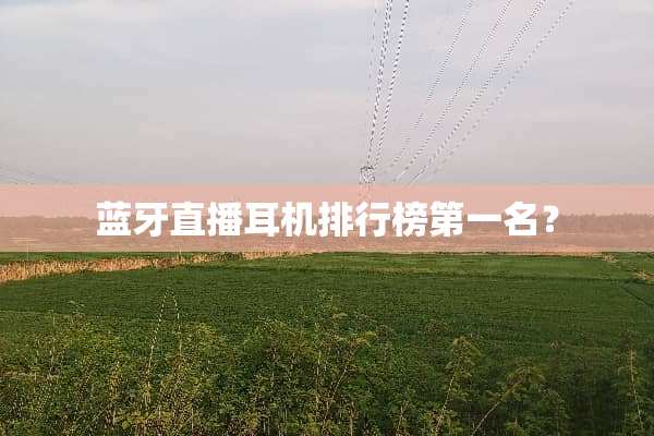 蓝牙直播耳机排行榜第一名？
