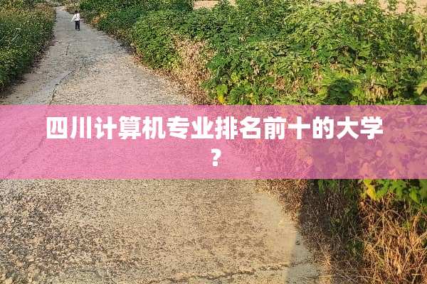 四川计算机专业排名前十的大学？