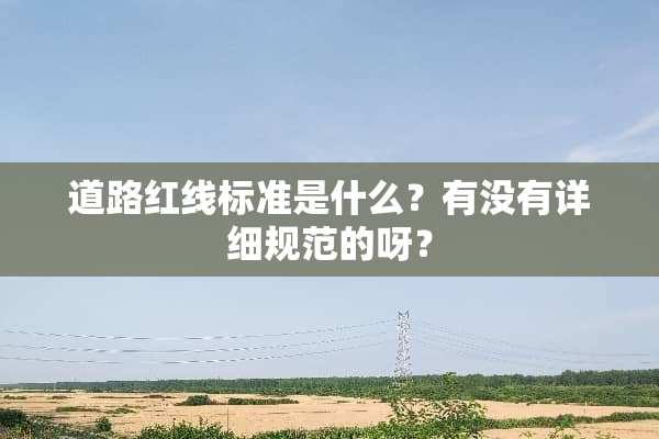 道路红线标准是什么？有没有详细规范的呀？