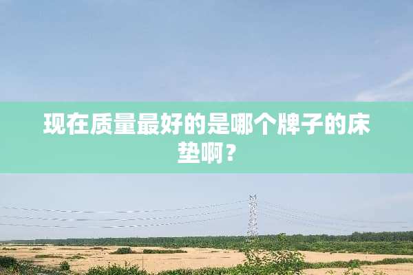 现在质量最好的是哪个牌子的床垫啊？