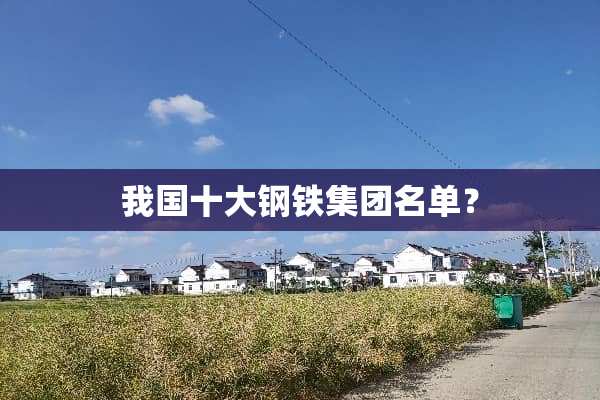 我国十大钢铁集团名单？
