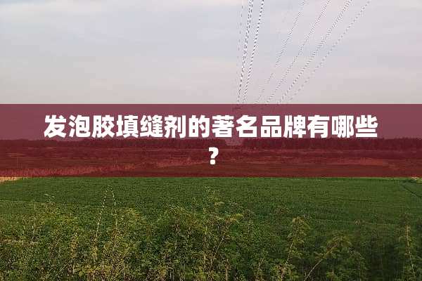 发泡胶填缝剂的著名品牌有哪些？
