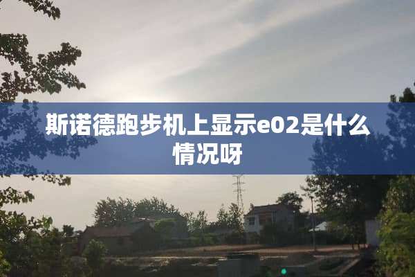 **德跑步机上显示e02是什么情况呀