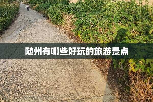 随州有哪些好玩的旅游景点