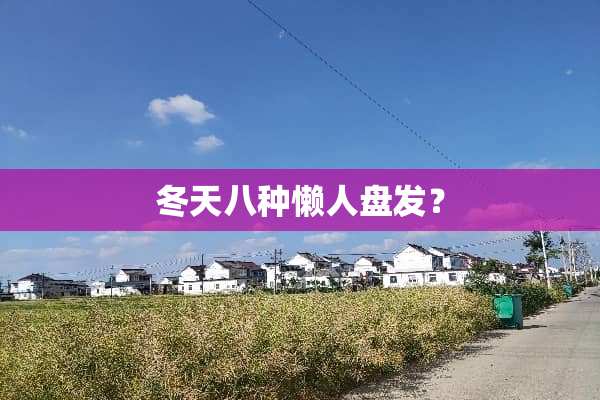 冬天八种懒人盘发？