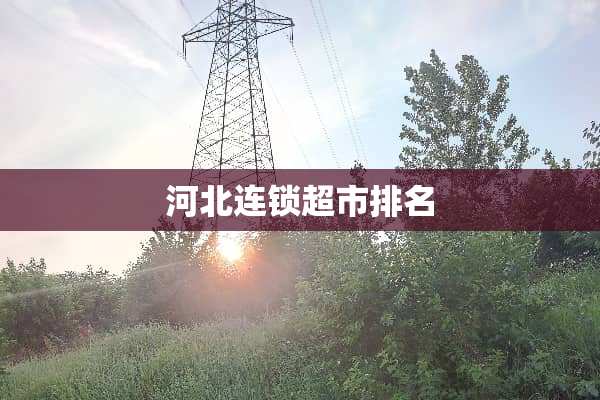 河北连锁超市排名