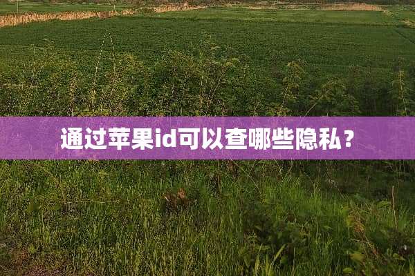 通过苹果id可以查哪些隐私？