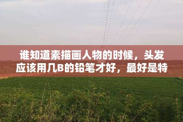 谁知道素描画人物的时候，头发应该用几B的铅笔才好，最好是特别黑的？
