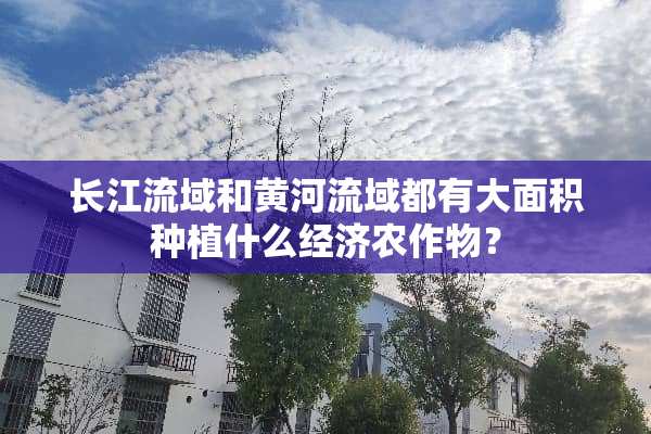 长江流域和黄河流域都有大面积种植什么经济农作物？