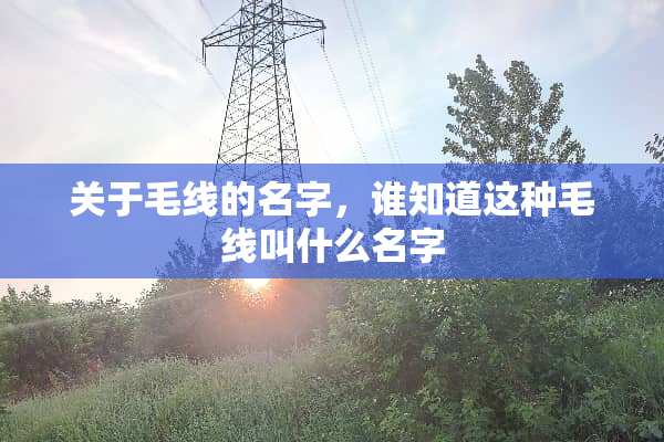 关于毛线的名字，谁知道这种毛线叫什么名字