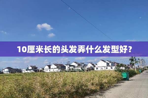 10厘米长的头发弄什么发型好？