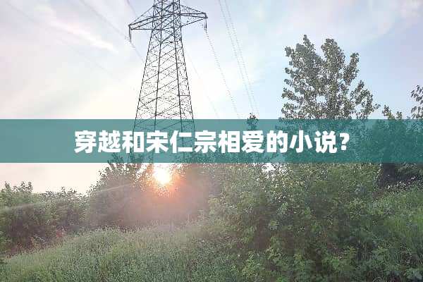 穿越和宋仁宗相爱的小说？