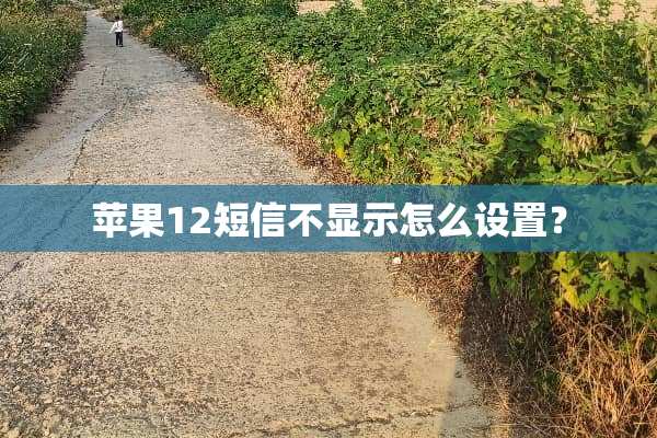 苹果12短信不显示怎么设置？