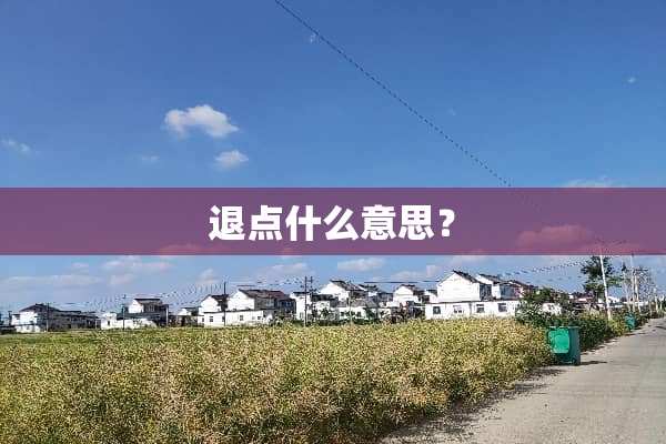 退点什么意思？