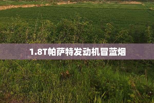 1.8T***发动机冒蓝烟