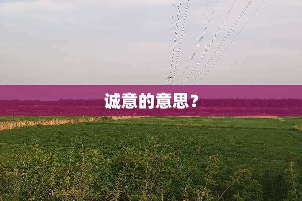 诚意的意思？