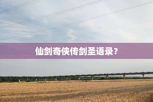 仙剑奇侠传剑圣语录？