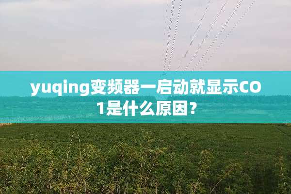 yuqing变频器一启动就显示CO1是什么原因？