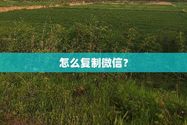 怎么复制微信？