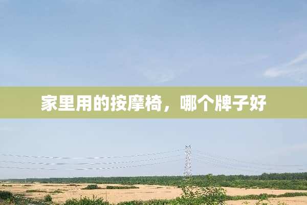 家里用的按摩椅，哪个牌子好