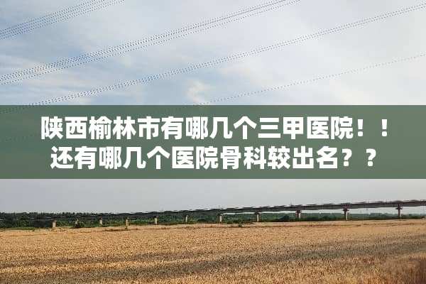 陕西榆林市有哪几个三甲医院！！还有哪几个医院骨科较出名？？