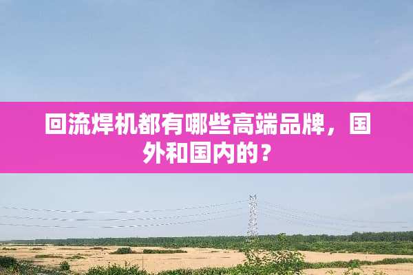 回流焊机都有哪些高端品牌，国外和国内的？