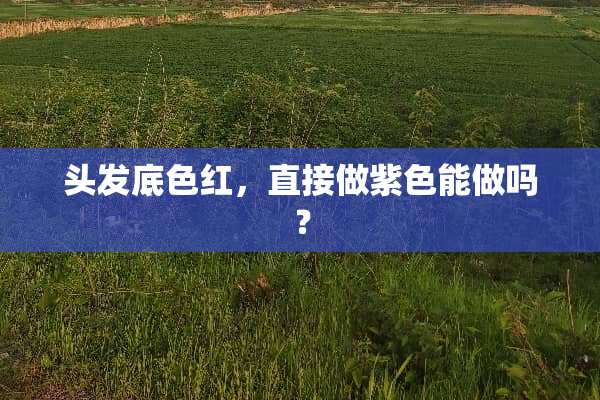 头发底色红，直接做紫色能做吗？