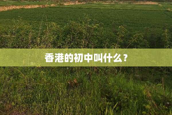 香港的初中叫什么？