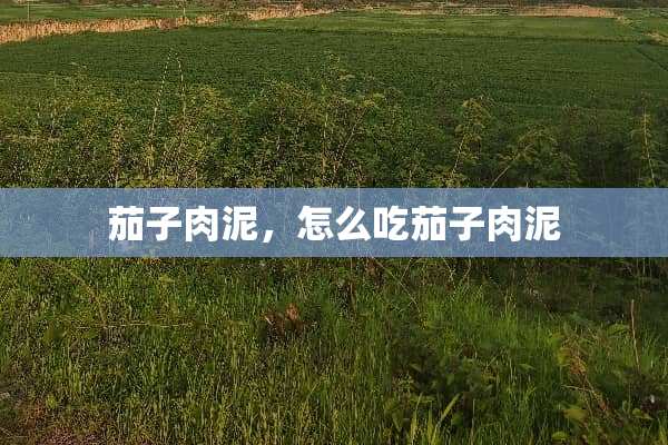 茄子肉泥，怎么吃茄子肉泥