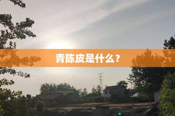 青陈皮是什么？