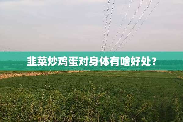 韭菜炒鸡蛋对身体有啥好处？
