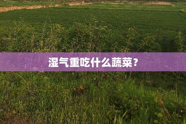 湿气重吃什么蔬菜？