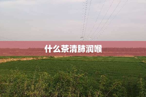 什么茶清肺润喉