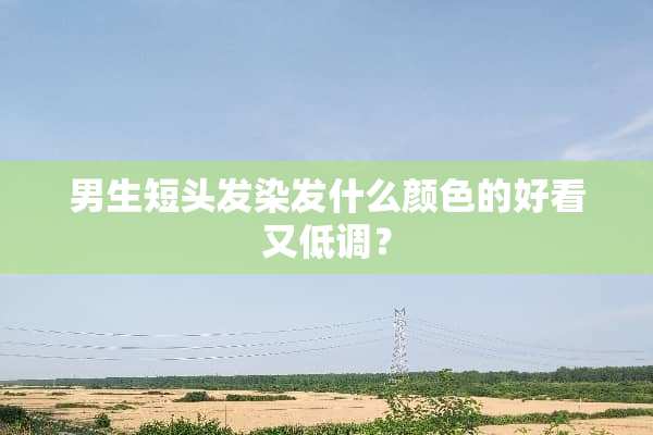 男生短头发染发什么颜色的好看又低调？