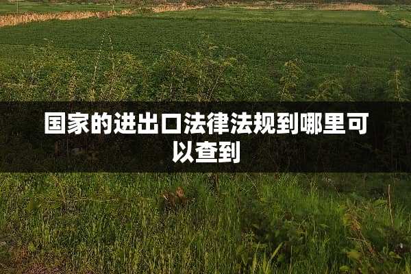 国家的进出口法律法规到哪里可以查到