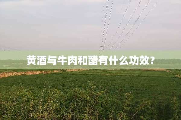 黄酒与牛肉和醋有什么功效？