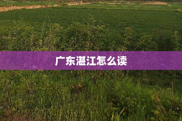 广东湛江怎么读