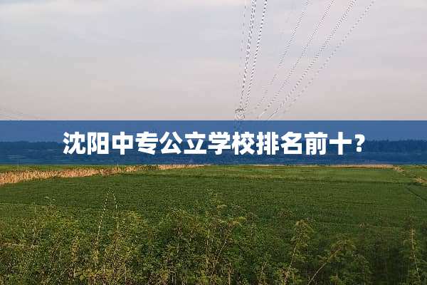 沈阳中专公立学校排名前十？